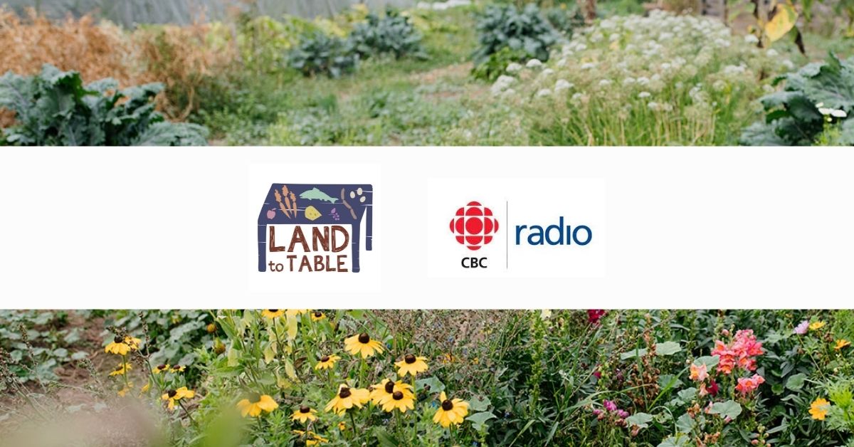 Land to Table on CBC Daybreak South