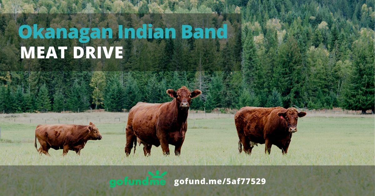 Okanagan Indian Band Meat Drive: Fire & Flood Recovery