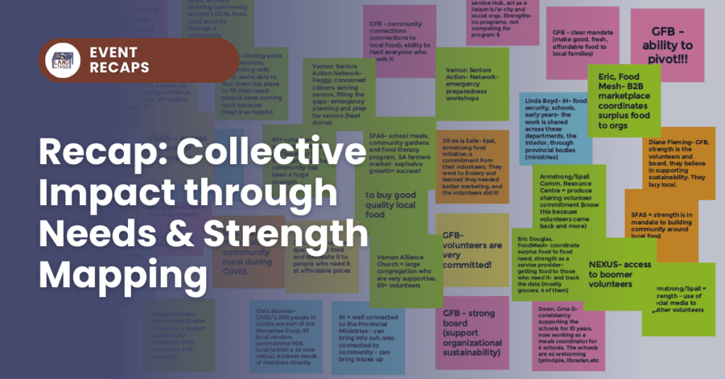 Recap: Collective Impact through Needs & Strength Mapping